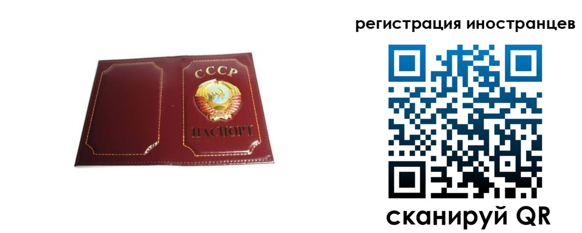 временная регистрация поиск в Артёме